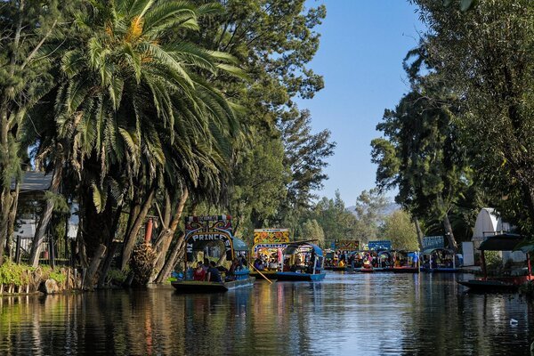 Vista canales