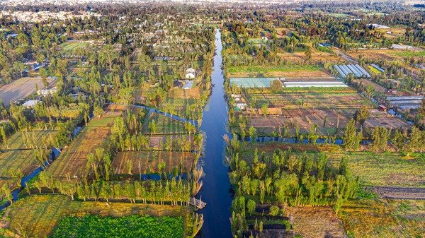 Canales de Xochimilco