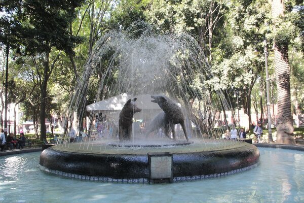 Jardín Centenario